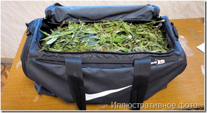 Фото: https://novostipmr.com/sites/default/files/filefield_paths/10.11.16_narkota.jpg image