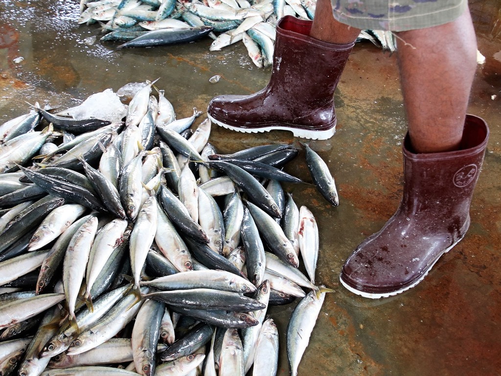 rubber-boots-3249533_1280