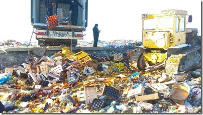 Фото: Калининградская областная таможня. IMG_20210119_132046