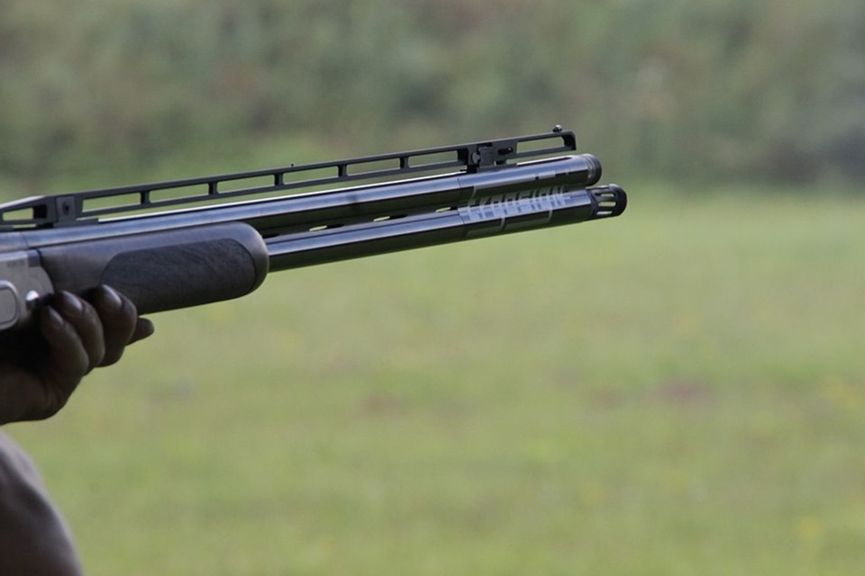 shotgun-1181645_960_720