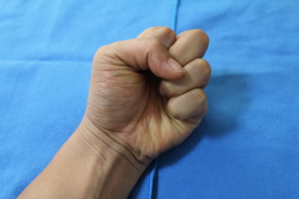 the-fist-486641_960_720 the-fist-486641_960_720