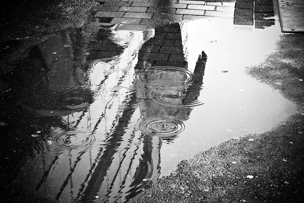 rain-2538430_1280 rain-2538430_1280