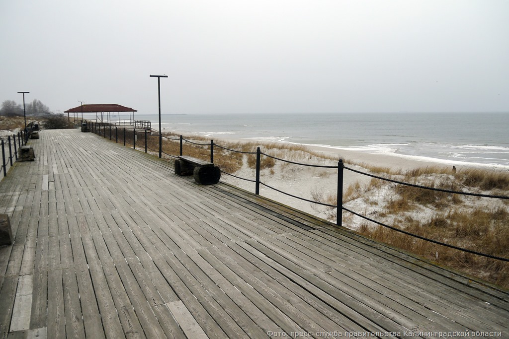 Воспитанница из Калининградской области отмечена спецпризом международной детско-юношеской премии «Экология – дело каждого»