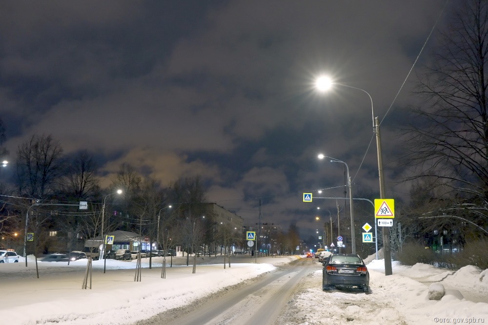 Депутат Вишневский порекомендовал жителям Петербурга требовать компенсацию за причиненный неочищенным городом ущерб