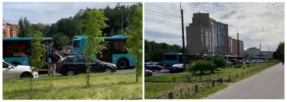 Петербуржцы удивились странной веренице из новых бирюзовых автобусов Петербуржцы удивились странной веренице из новых бирюзовых автобусов