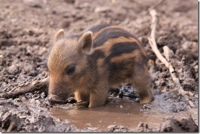 Фото: https://avatars.mds.yandex.net/get-pdb/1999827/231a691f-6467-43f1-a91c-81b308de4543/s1200 image