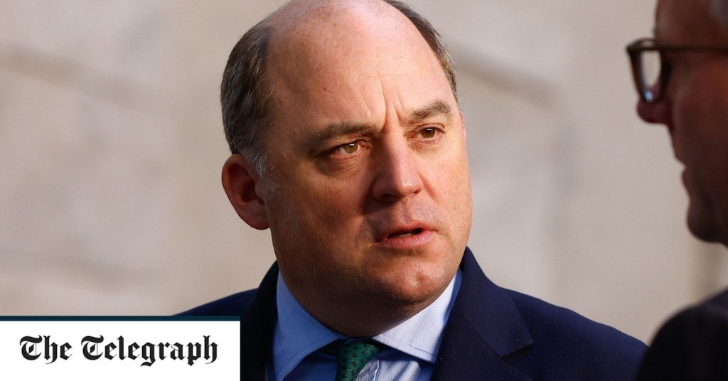 Уоллес раскритиковал Макрона за ядерную доктрину Франции