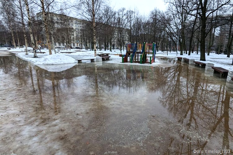Гололедный коллапс: Комблаг Петербурга не справился с уборкой города с приходом оттепели