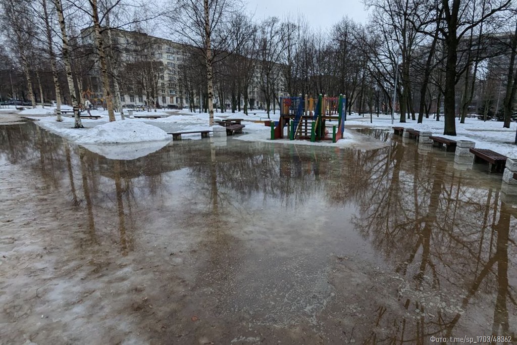 «Ходить по улицам крайне затруднительно»: эксперт Соловейчик о последствиях «снегоуборки» в Петербурге
