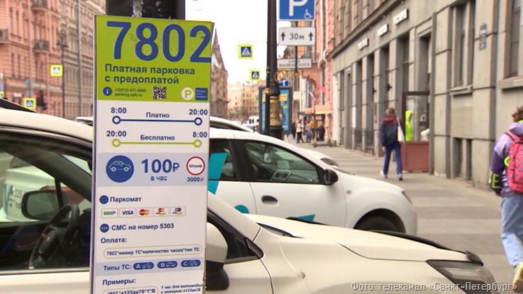 Политолог Леви указал на проблему с оформлением льготных парковочных разрешений в Петербурге