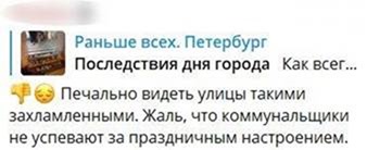 Жители Петербурга раскритиковали Смольный и коммунальщиков за неубранный мусор после Дня города
