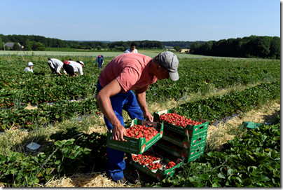 Фото: https://eostrace.be/assets/_resize1400/BELGAIMAGE-121041390.jpg image