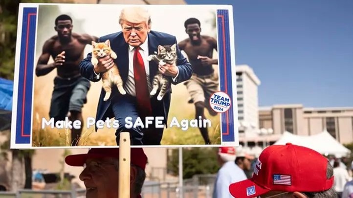 «Кото- и собакоеды» опасаются за свою жизнь после слов Трампа