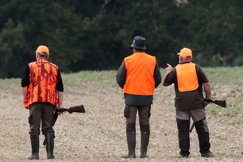 Толпа из 60 мигрантов напала на троих охотников и их ребенка в коммуне Тарденген