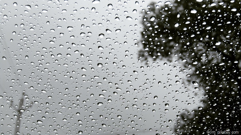 От сияющей луны до хрустящего снега: учёный объясняет 12 загадок природы