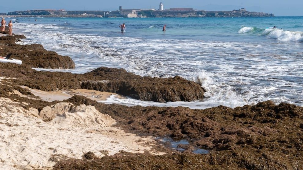 photo_2025-07-31_11-08-47