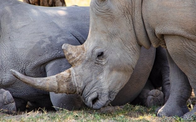 6837e99f0ef8c51cc46fad19b122277b 6837e99f0ef8c51cc46fad19b122277b