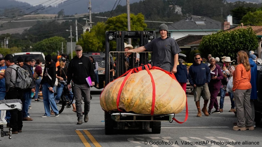 Американский инженер вырастил тыкву-рекордсмена весом в тонну Американский инженер вырастил тыкву-рекордсмена весом в тонну