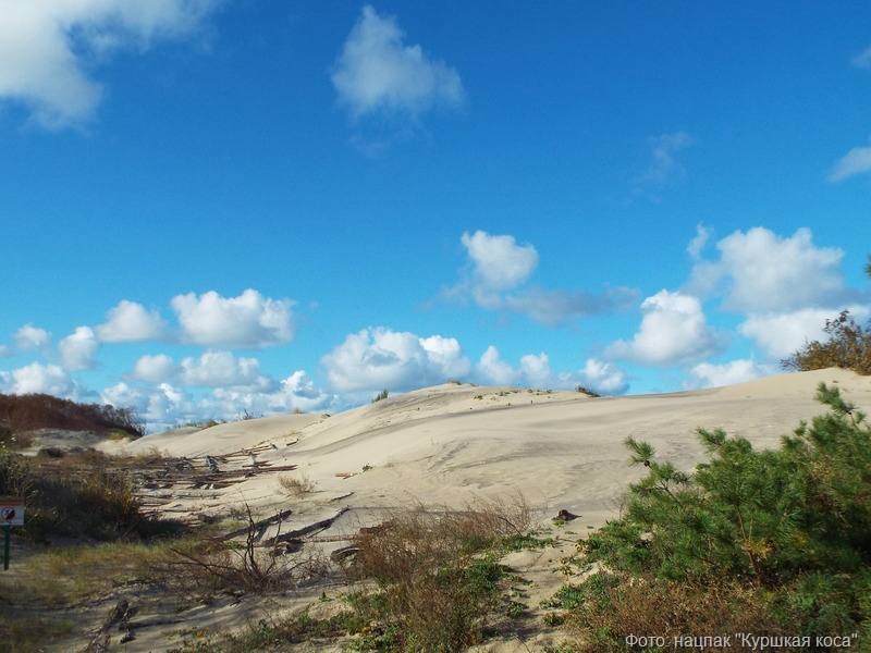 photo_2025-10-13_17-00-22