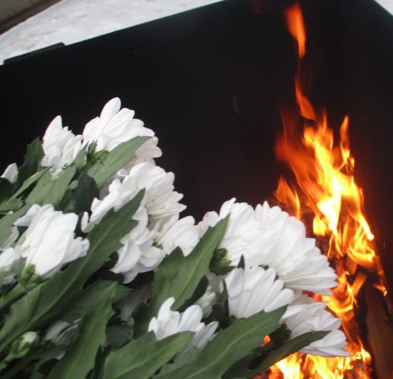 В прибывших в Петербург цветах нашли опасных вредителей