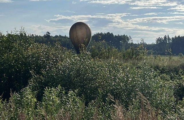 Правительство Литвы планирует ввести ЧС из-за воздушных шаров с контрабандой