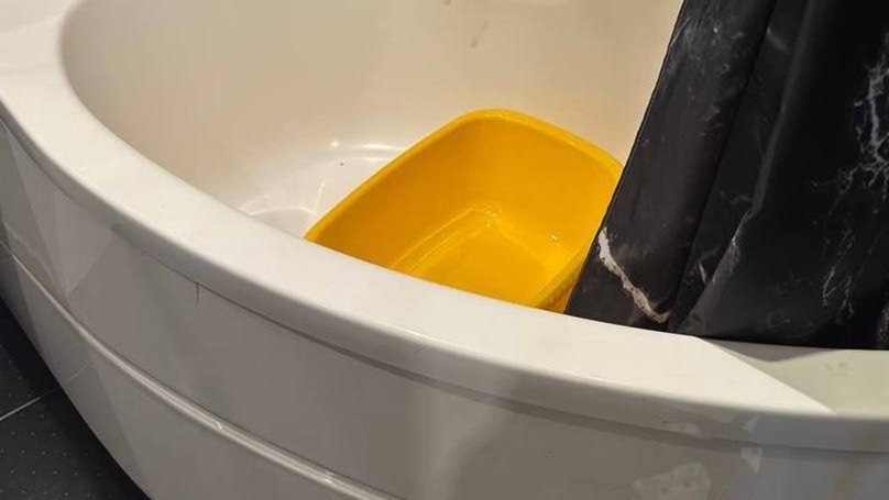 Петербургская блогерша пошла под арест по делу об убийстве новорождённого сына Петербургская блогерша пошла под арест по делу об убийстве новорождённого сына