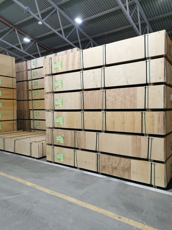 Вологодские лесоматериалы пошли в Индию: за полтора месяца отгрузили уже 5 тысяч кубометров Вологодские лесоматериалы пошли в Индию: за полтора месяца отгрузили уже 5 тысяч кубометров